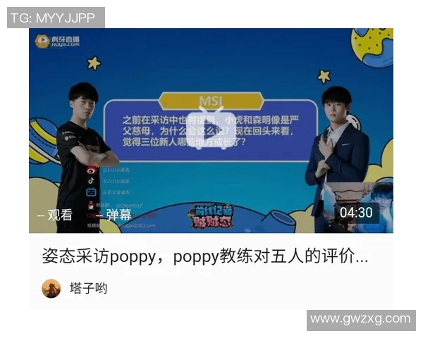 ZEM精英挑战赛引发争议NiKo公开致歉并解释事件经过 ZEM精英挑战赛引发争议NiKo公开致歉并解释事件经过