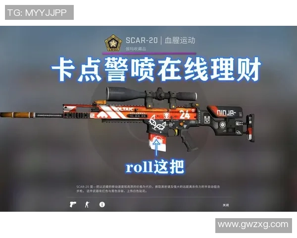 CS2鏖战sakula全景解析与战术探讨带你领略精彩对决的背后故事