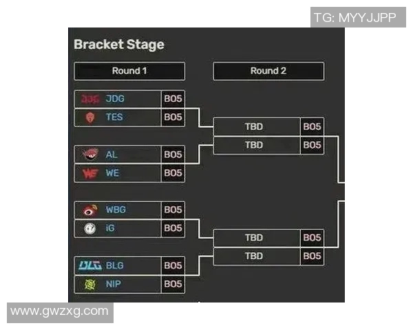 NIP在激烈对抗中惜败WE展现出强大实力与团队合作精神