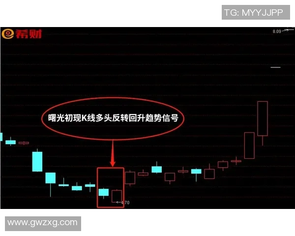 沙尔克04主场胜梅因茨，保级前景稍现曙光